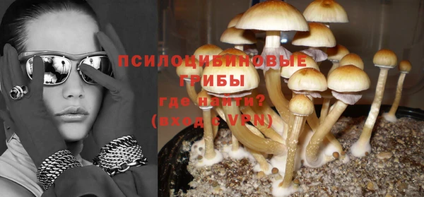 Альфа ПВП Белокуриха