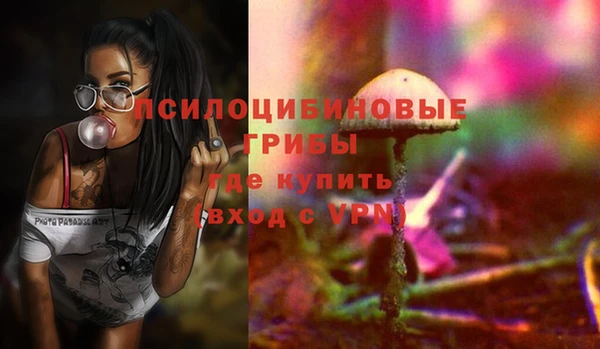 бутират Баксан