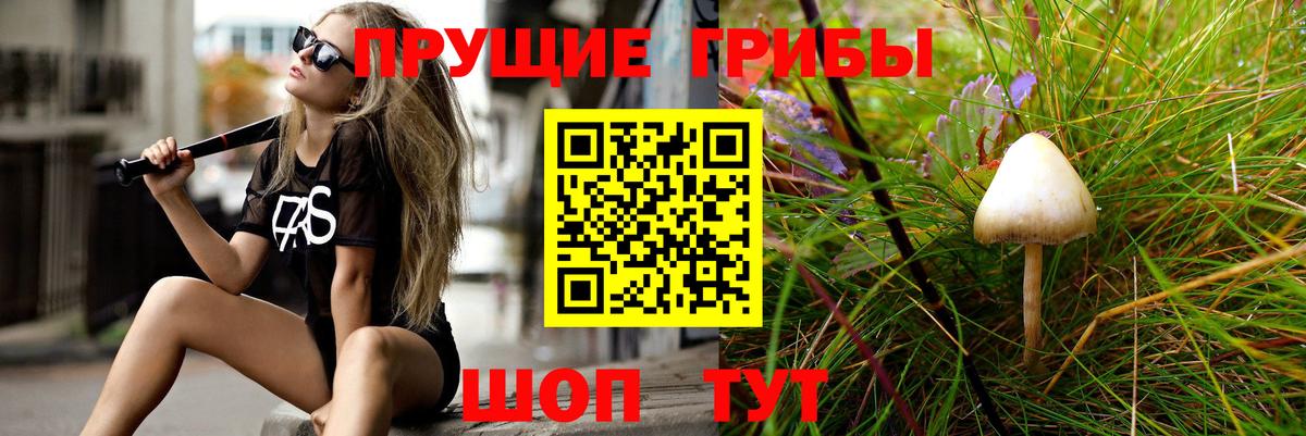 Галлюциногенные грибы прущие грибы  Вход с VPN  Реутов 